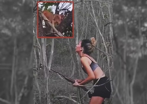 Homem multado em R$ 20 mil por morte de onça-parda diz que não sabe como irá pagar