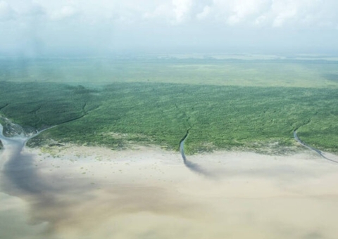 Petrobras recebe aval da ANP para retomar perfuração na Foz do Amazonas