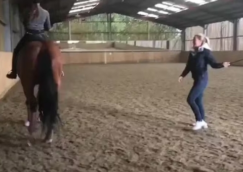 Denunciante comemora punição de campeã olímpica por vídeo agredindo cavalo