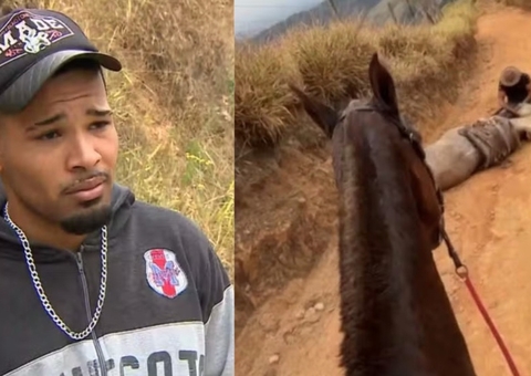 MP denuncia homem que decepou patas de cavalo no interior de SP