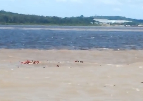 Nova Olinda do Norte cancela Carnaolinda após naufrágio de lancha