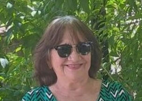 Em Manaus: decisão do TRE, CPI e festa por causa do BBB24