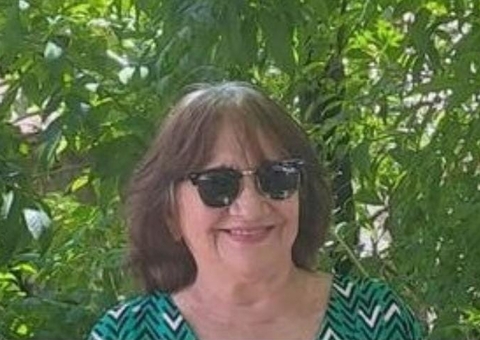 QUANDO UMA IDEIA VAI PARAR NO STF