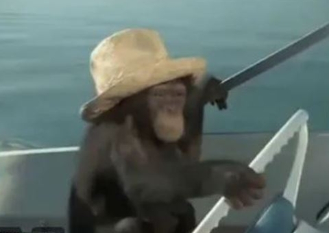 Ministério se retrata após postar foto racista sobre brasileiros nas Olimpíadas 2024