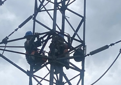 Bicho-preguiça provoca apagão e deixa bairros de Manaus sem energia