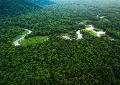 Governo vai investir R$ 2 bilhões para segurança na Amazônia Legal