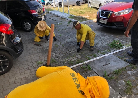 Presos irão trabalhar na revitalização do Passeio do Mindu