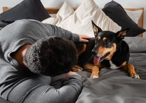 Dono de cães terá que indenizar vizinho que teve pet atacado