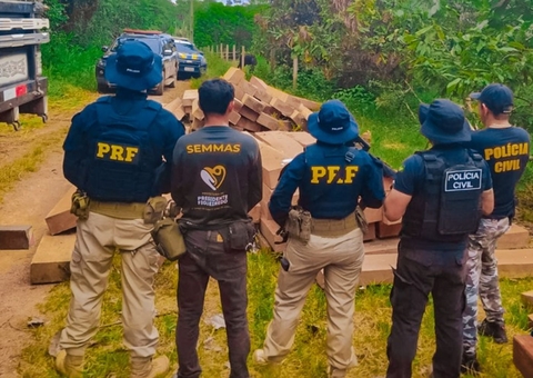 Polícia resgata araras abandonadas em área desmatada na BR-174