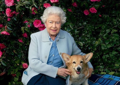 Rainha Elizabeth 2ª já não pode mais passear com seus cães por fragilidade