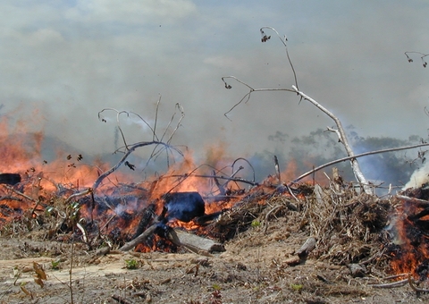 Região Sul concentra 55% das queimadas no Amazonas