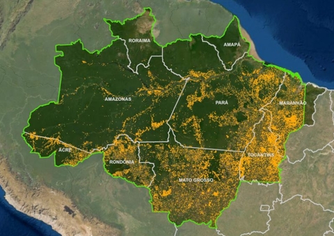 Inteligência artificial aponta risco maior de devastação na Amazônia em 2025