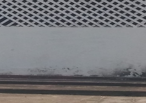 MPF quer delimitação de área quilombola em Itacoatiara