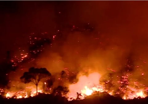 Queimadas criminosas no Amazonas destroem áreas extensas da Floresta Amazônica