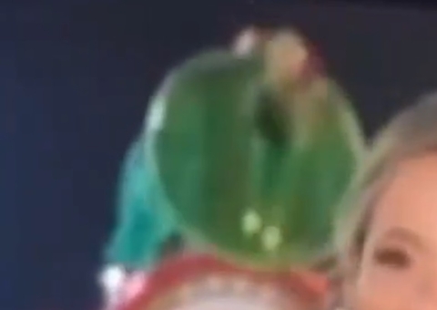 Vídeo mostra queda de Rei Momo de carro alegórico no Sambódromo 