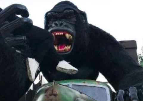 Criança que caiu de atração no Beto Carrero segue na UTI; mãe está em choque