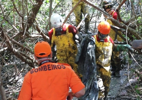 Corpo de piloto é encontrado em mangue após queda de avião em Sergipe
