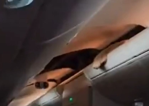 Criança é achada no compartimento de malas ao ser arremessada durante turbulência em avião