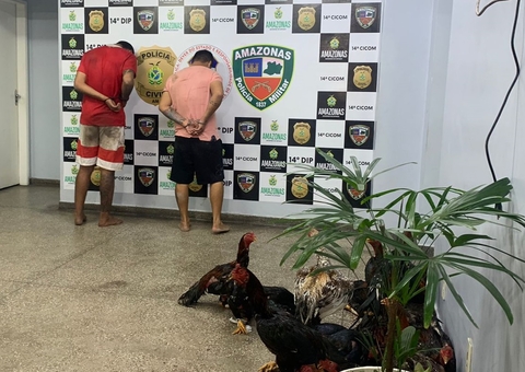 Rinha de galo é descoberta em sítio e dois são presos em Manaus
