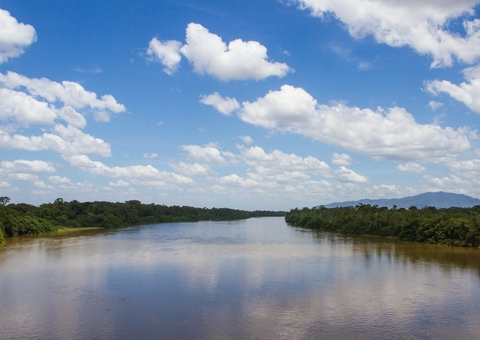Amazônia: Governadores discutem parcerias com EUA na área climática