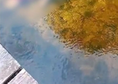 Homem achado morto em igarapé no Ramal do Pau Rosa foi executado a tiros