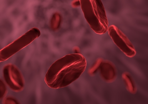 Talassemia: saiba o que é e a importância do diagnóstico precoce