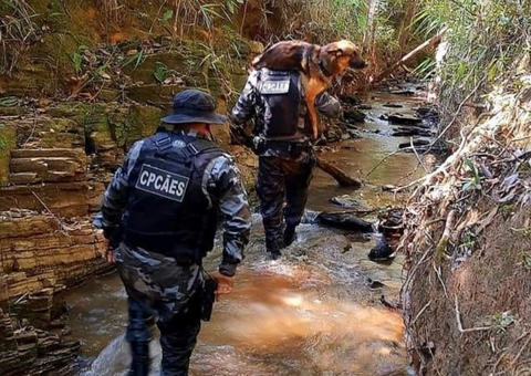 Cão policial é afastado após se ferir durante buscas por Lázaro