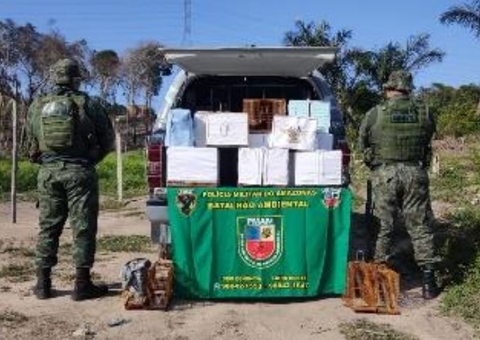 Grupo é preso por usar pássaros para capturar animais em Manaus