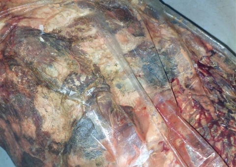 Frigorífico é interditado ao ser flagrado com 2 toneladas de carne estragada em Manaus