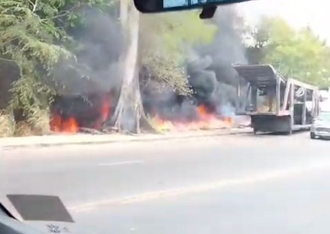 Bombeiros tentam conter incêndio em área de mata no Distrito Industrial; veja vídeo