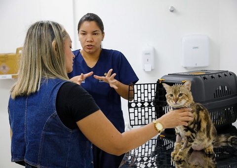 Hospital Veterinário do Amazonas distribui senhas diariamente; veja como funciona