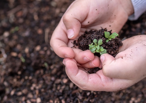 Lançada cartilha para conscientizar alunos da Amazônia sobre queimadas