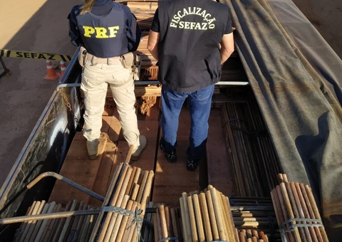 Carga ilegal de madeira avaliada em R$ 500 mil é apreendida em porto no Amazonas