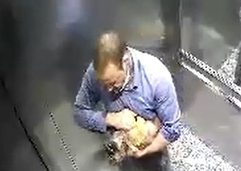 Médico agride e mata cachorro de 6 meses após animal fazer xixi no 'lugar errado'