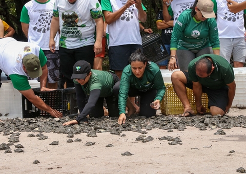 Mais de 18 mil filhotes de quelônios são soltos em reserva no Amazonas
