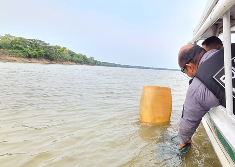 Polícia apreende 48 toras de madeira ilegal no Amazonas