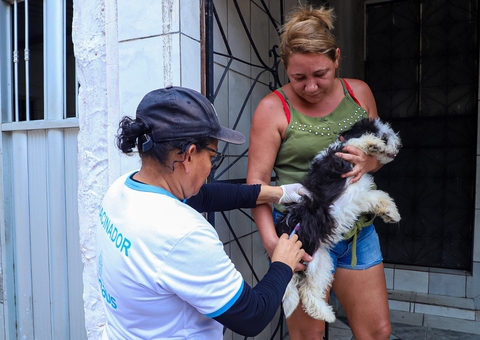 Campanha de vacinação antirrábica vai atuar em 13 bairros de Manaus nesta semana; confira