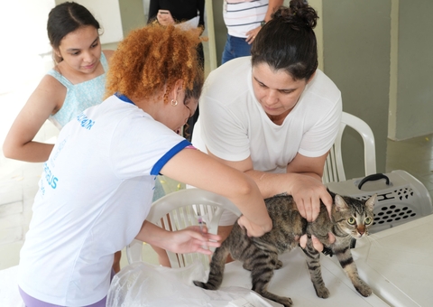 Campanha Antirrábica em Manaus amplia acesso com 52 pontos fixos gratuitos