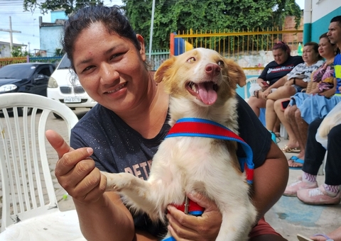 Prefeitura de Manaus abre agendamento para castração gratuita nesta quinta
