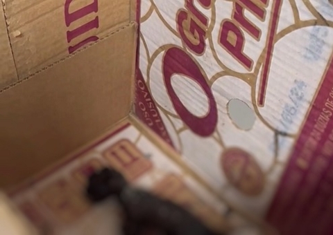 Criança resgata gato e avó mata animal carbonizado no Jorge Teixeira