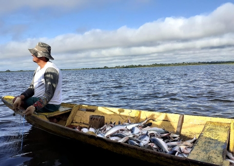Mais de 60 mil cestas básicas serão entregues a pescadores no Amazonas