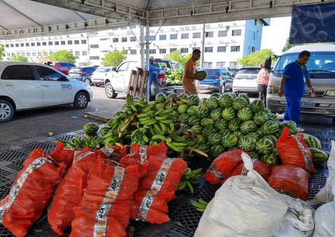 Entidades do Amazonas recebem 9 toneladas de alimentos pelo Programa Alimenta Brasil