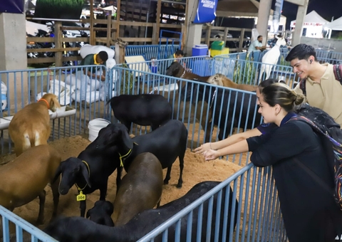 Expoagro agita o domingo com feiras, shows e concursos agropecuários 