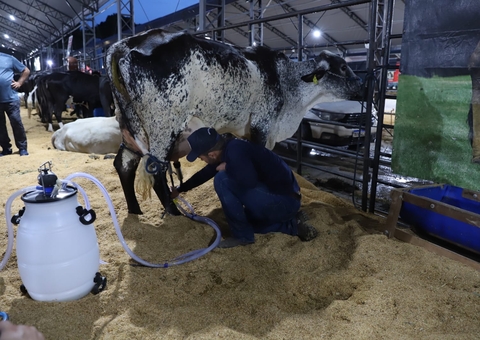 Competição de bovinos e caprinos na Expoagro 2025 vai até sábado