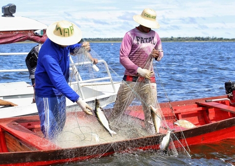 Confira datas do pagamento de Auxílio Emergencial Pescador Artesanal