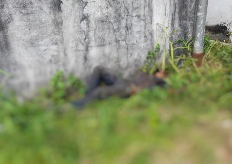 Homem é eletrocutado ao tentar roubar cabos de energia; veja como ele ficou