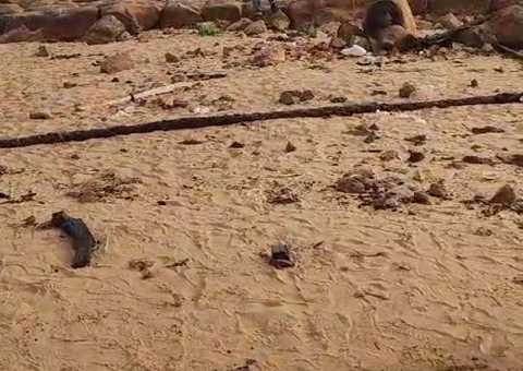 Ossada humana é encontrada às margens de rio na Feira da Manaus Moderna