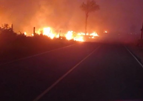 Incêndio devasta vegetação e invade estrada de Autazes, veja vídeo