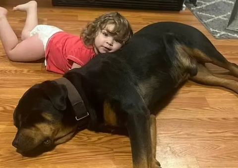 Bebê desaparece de casa e é achada dormindo com cachorro dentro de floresta