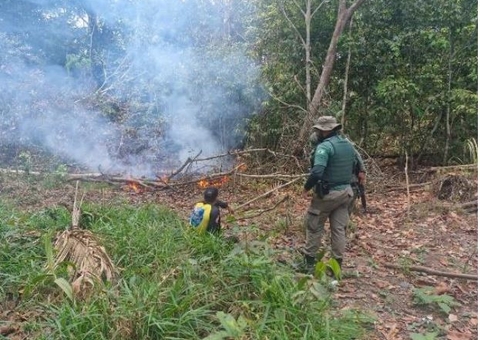 Homem é preso ao ser flagrado incendiando mata na BR-319